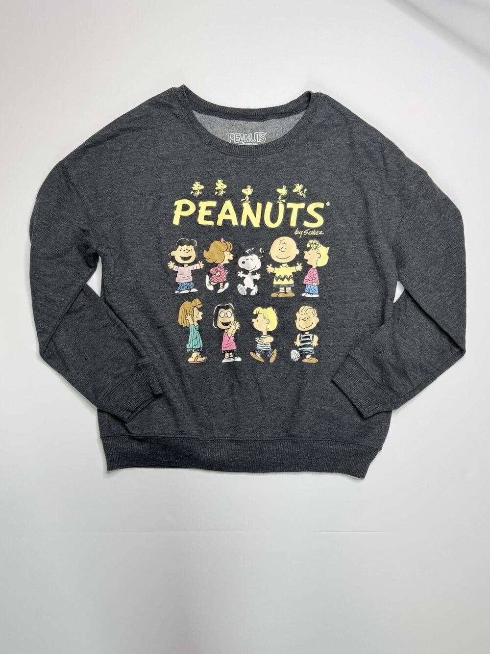 Peanuts Snoopy Charlie Brown Gang Gray Crewneck Sweatshirt Adult Small 2022